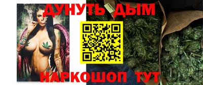 spice Обь