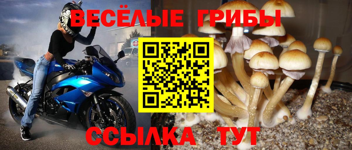 Псилоцибиновые грибы мухоморы  Вход с VPN  Сосновый Бор  Галлюциногенные грибы мухоморы 