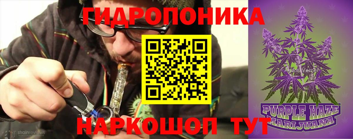 Сосновый Бор  Канабис план  Марихуана марихуана  Шишки марихуана AK-47  Вход с VPN  Бошки Шишки план 