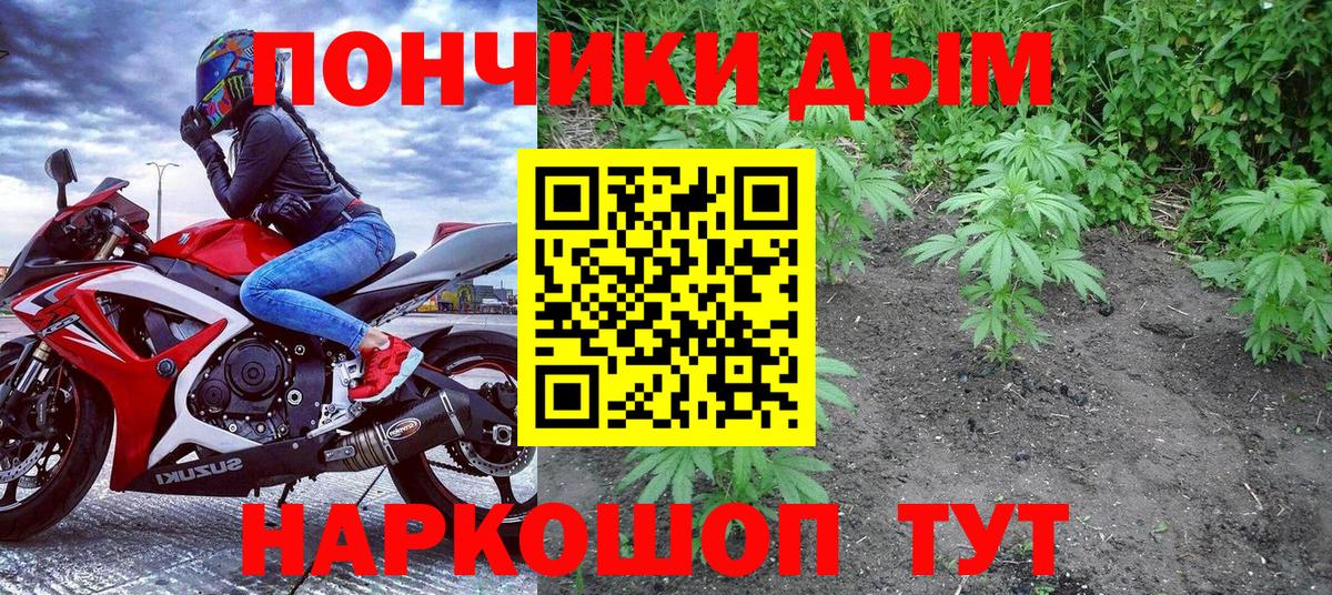 Марихуана марихуана Сосновый Бор